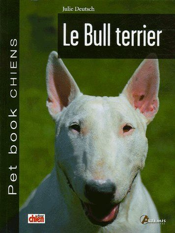 Le Bull terrier