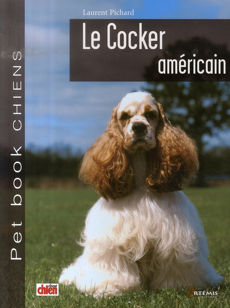 Le cocker américain