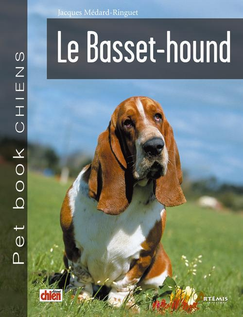 Le basset-hound