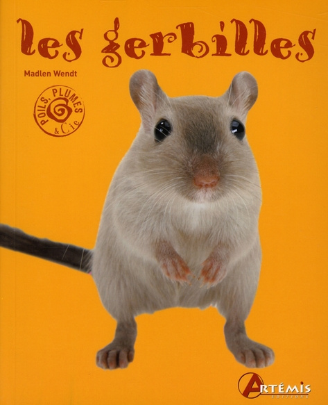 Les gerbilles