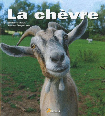 La chèvre