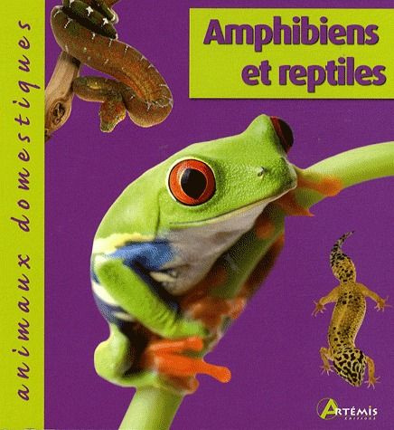 Amphibiens et reptiles
