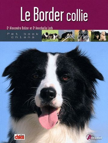 Le border collie