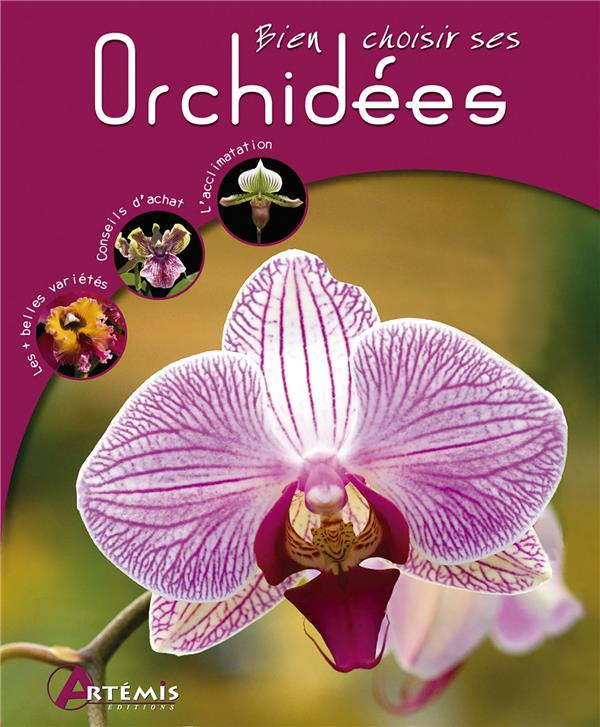 Bien choisir ses Orchidées