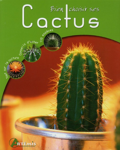 Bien choisir ses Cactus