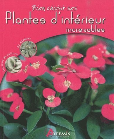Plantes d'intérieur increvables
