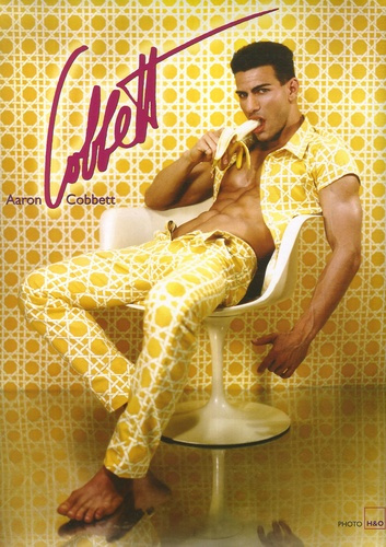 Aaron Cobbett. Edition bilingue français-anglais