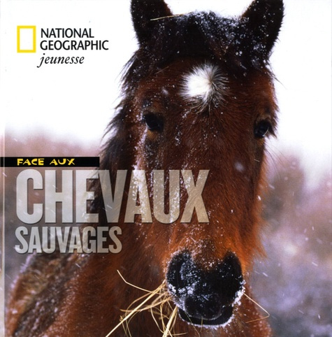 FACE AUX CHEVAUX