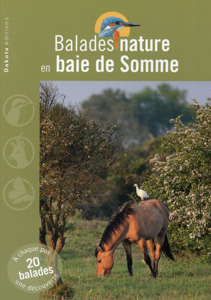 Balades nature en baie de Somme
