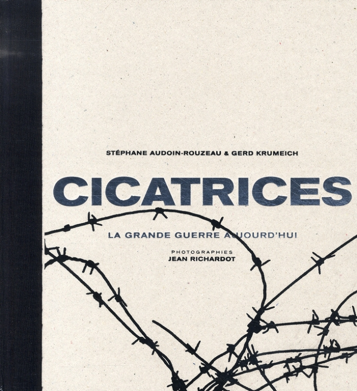 Cicatrices. La Grande Guerre aujourd'hui