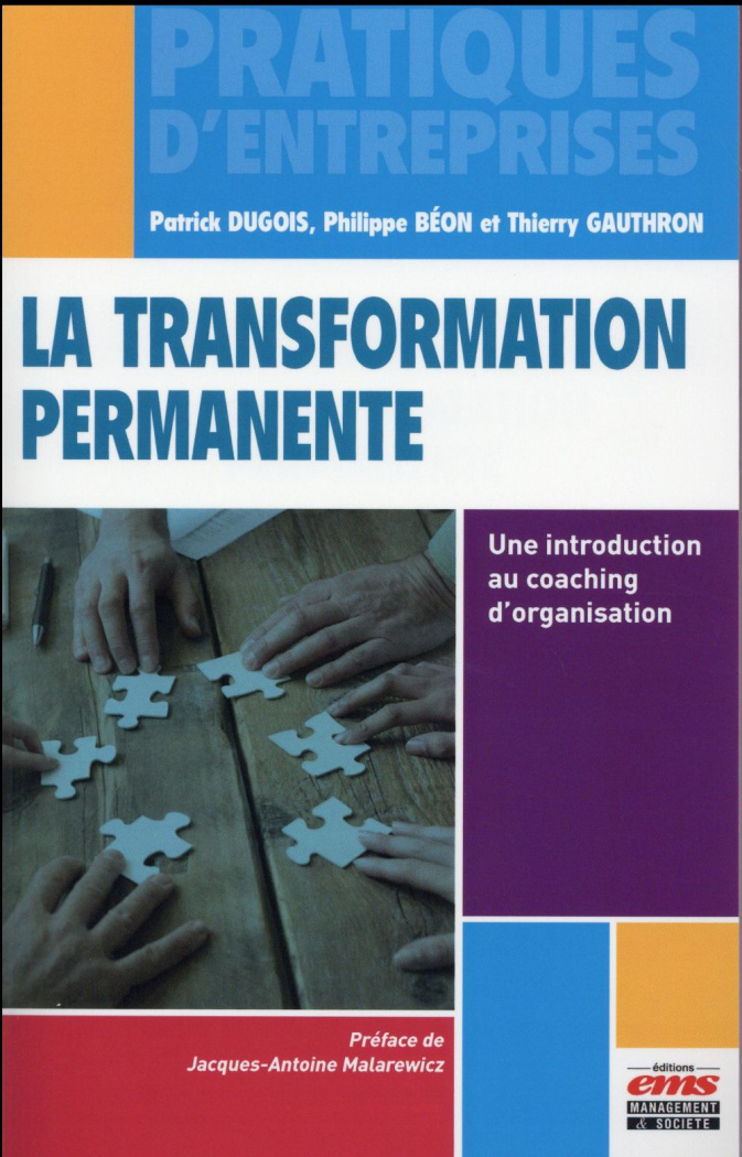 La transformation permanente. Une introduction au coaching d'organisation