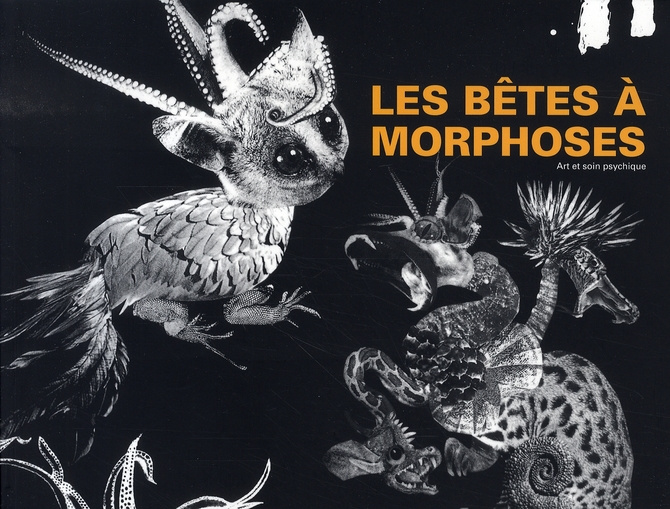 LES BETES A MORPHOSES - ART ET SOIN PSYCHIQUE