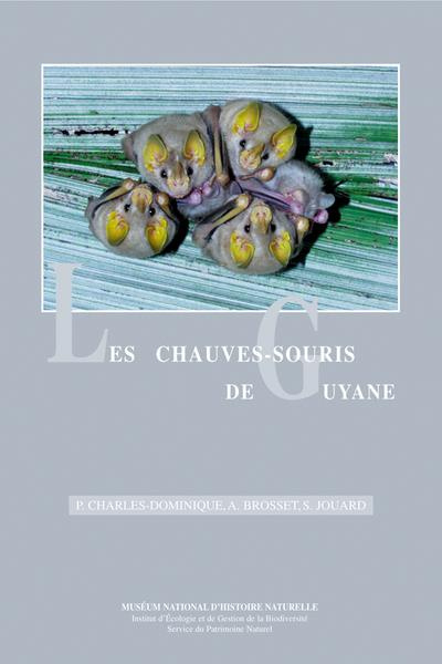 LES CHAUVESSOURIS DE GUYANE
