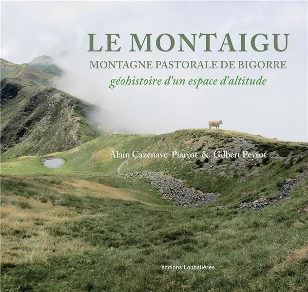 Le Montaigu, montagne pastorale de Bigorre. Géohistoire d'un espace d'altitude