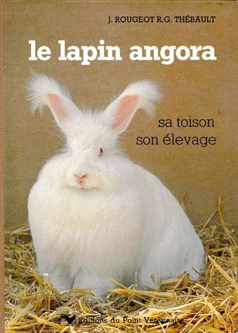 LE LAPIN ANGORA