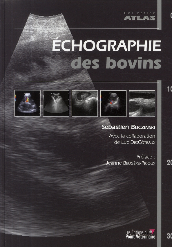 Echographie des bovins