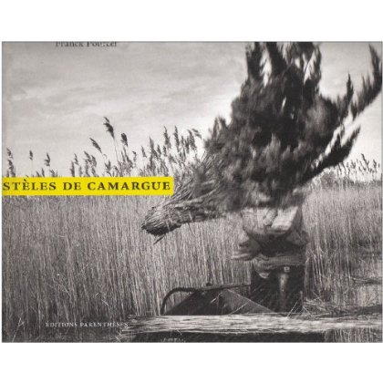 stèles de la camargue