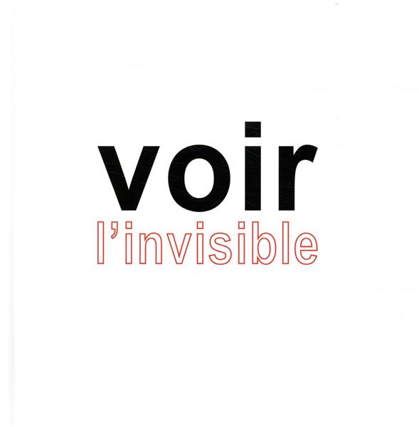 Voir l'invisible. Tome 2, Comprendre, Agir