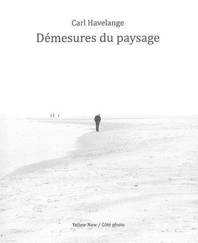Démesures du paysage