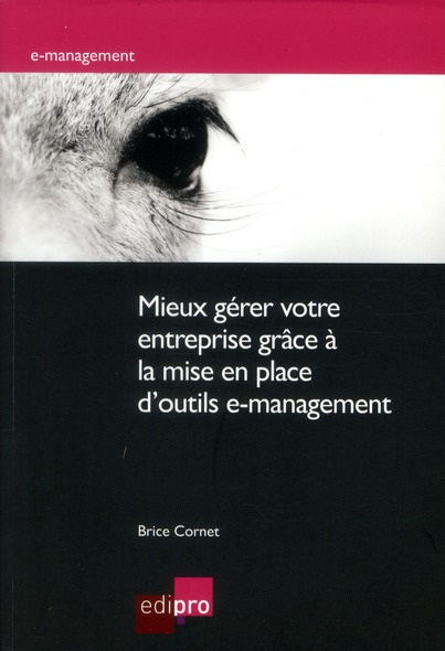 Mieux gérer votre entreprise grâce à la mise en place d'outils e-management / Méthodologies, impléme