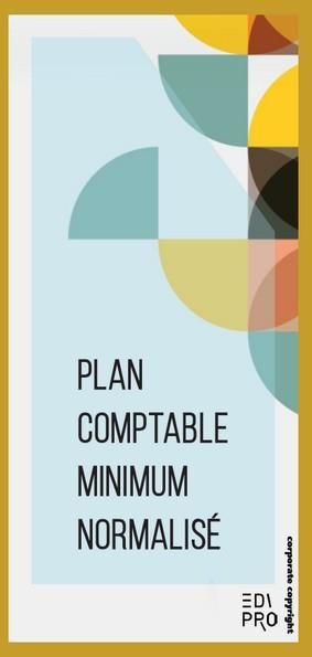 PLAN COMPTABLE MINIMUM NORMALISE