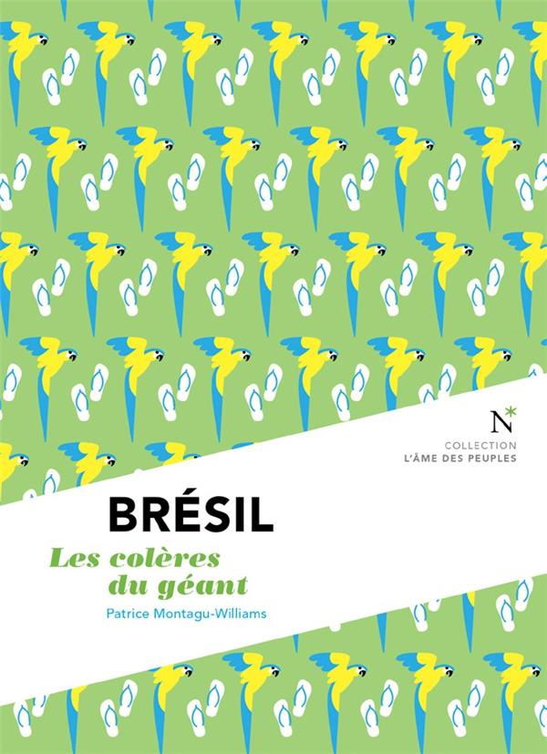 Brésil. Les colères d'un géant, 2e édition