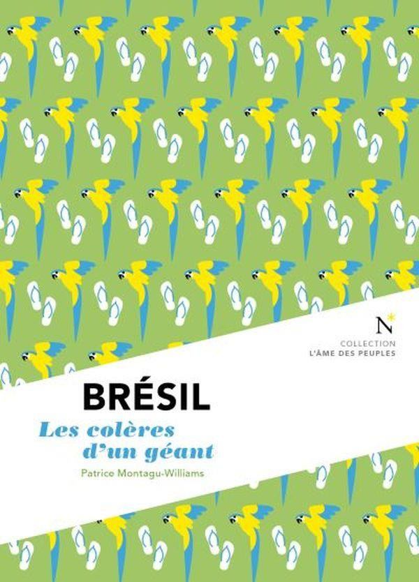 Brésil. Les colères d'un géant