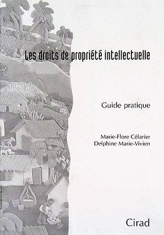 LES DROITS DE PROPRIETE INTELLECTUELLE. GUIDE PRATIQUE