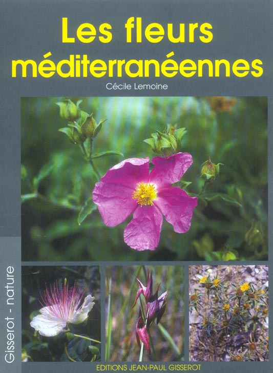 Les fleurs méditerranéennes