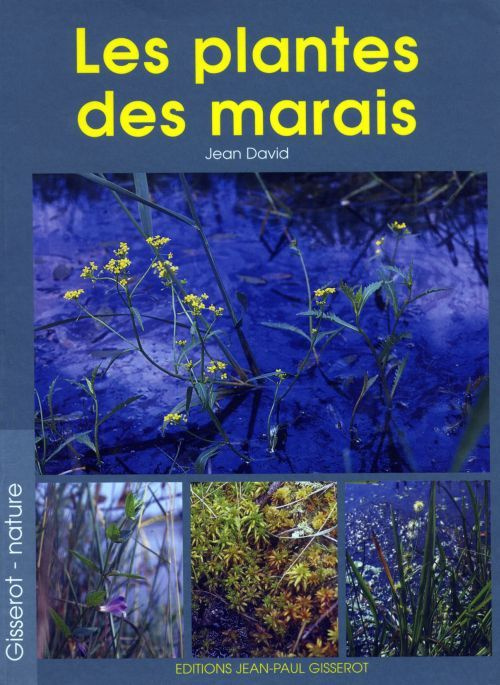 Les plantes des marais et des eaux douces