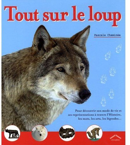 Tout sur le loup