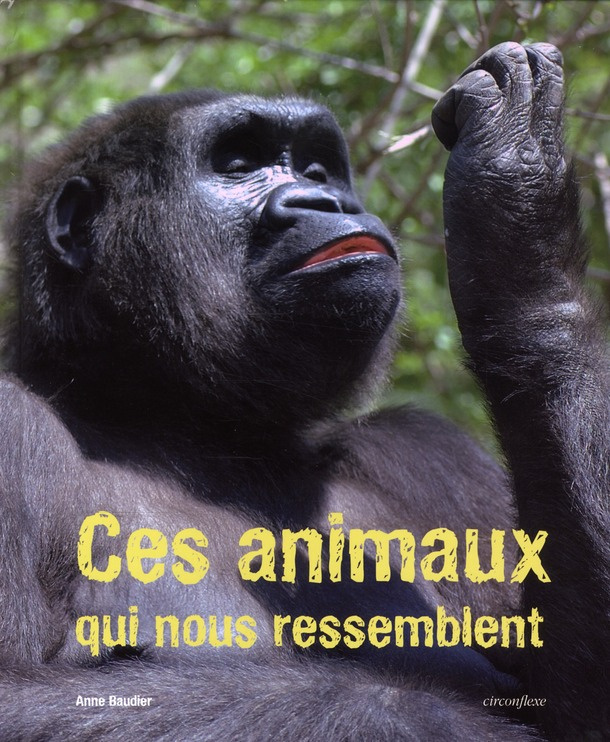 Ces animaux qui nous ressemblent