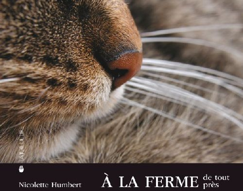 A la ferme: de tout près