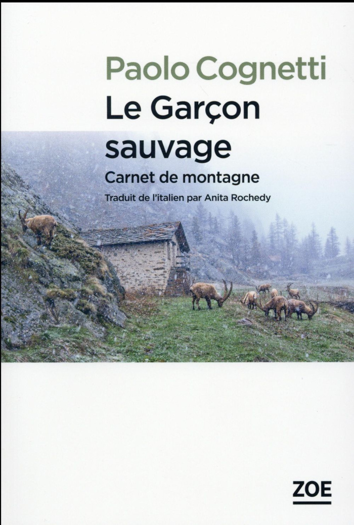 Le garçon sauvage. Carnet de montagne