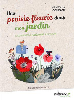Une prairie fleurie dans mon jardin. L'alternative créative au gazon
