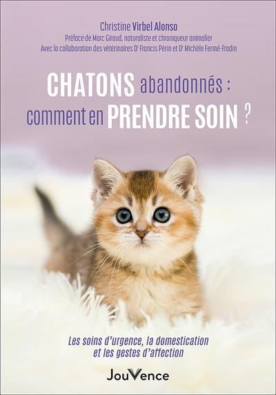 Chatons abandonnés : comment en prendre soin ? Les soins d'urgence, la domestication et les gestes d