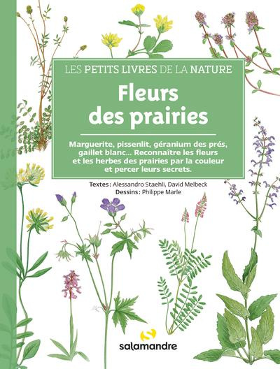 Fleurs des prairies