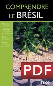 Comprendre le Brésil
