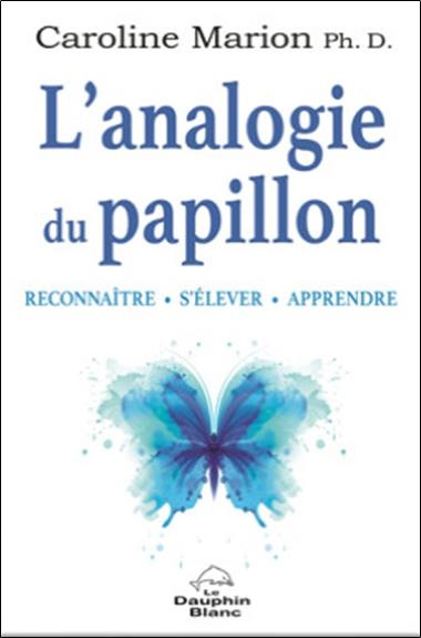 L'analogie du papillon. Reconnaître, s'élever, apprendre