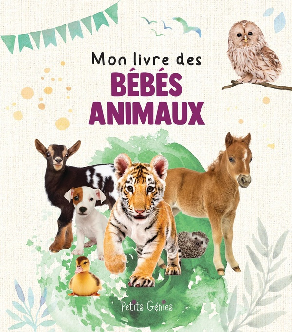 Mon livre des bébés animaux