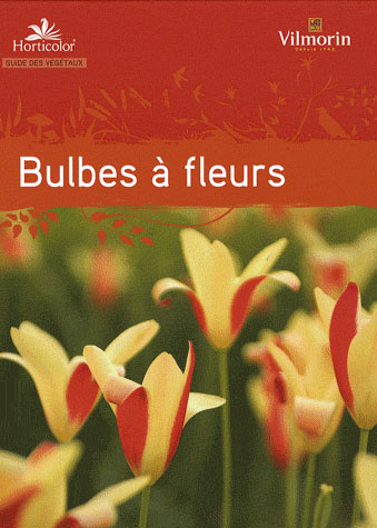 Guide des bulbes à fleurs