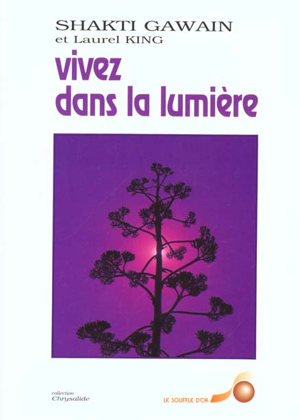 VIVEZ DANS LA LUMIERE. Guide de transformation personnelle et planétaire