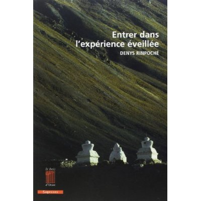 Entrer dans l'expérience éveillée