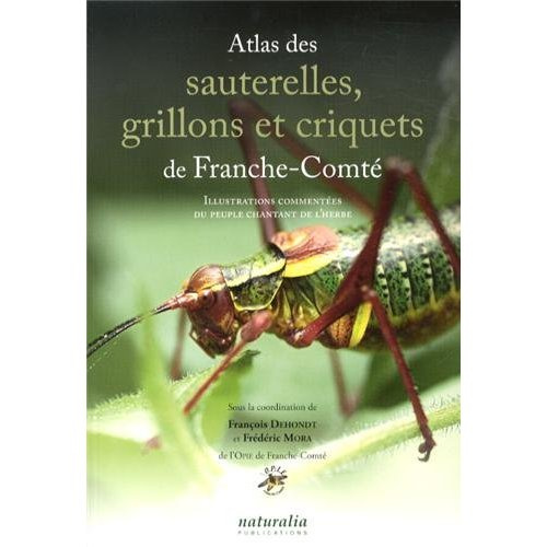 Atlas des sauterelles, grillons et criquets de Franche-Comté. Illustrations commentées du peuple cha