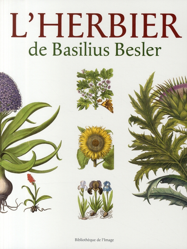 L'herbier de Basilius Besler