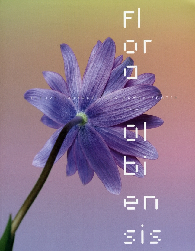 FLEURS SAUVAGES PAR ERWAN FROTIN - PHOTOGRAPHIE COMTEMPORAINE A LA VILLA NOAILLE - PHOTOGRAPHIE CONT