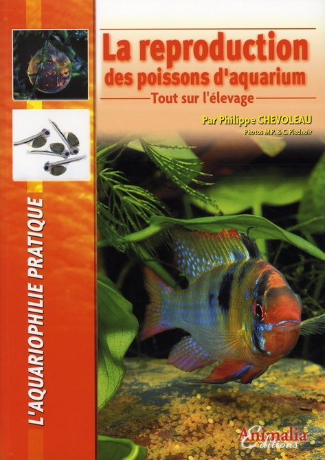 La reproduction des poissons d'aquarium. Tout sur l'élevage