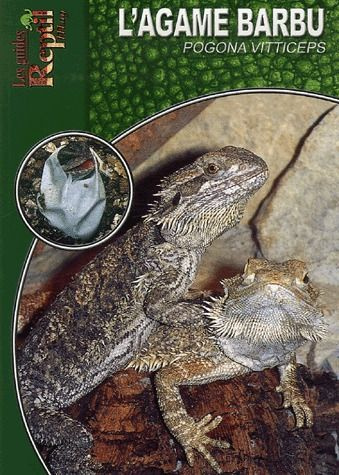 L'agame barbu. Pogona Vitticeps