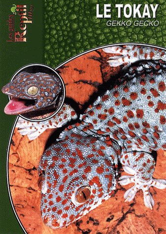 Le tokay. Gekko gecko