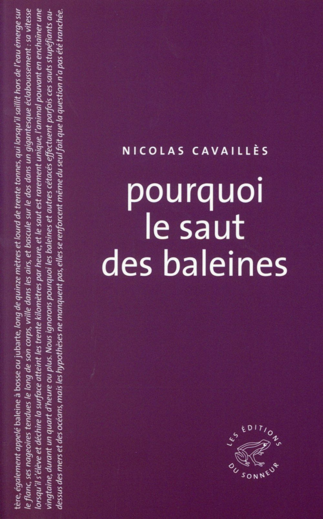 Pourquoi le saut des baleines